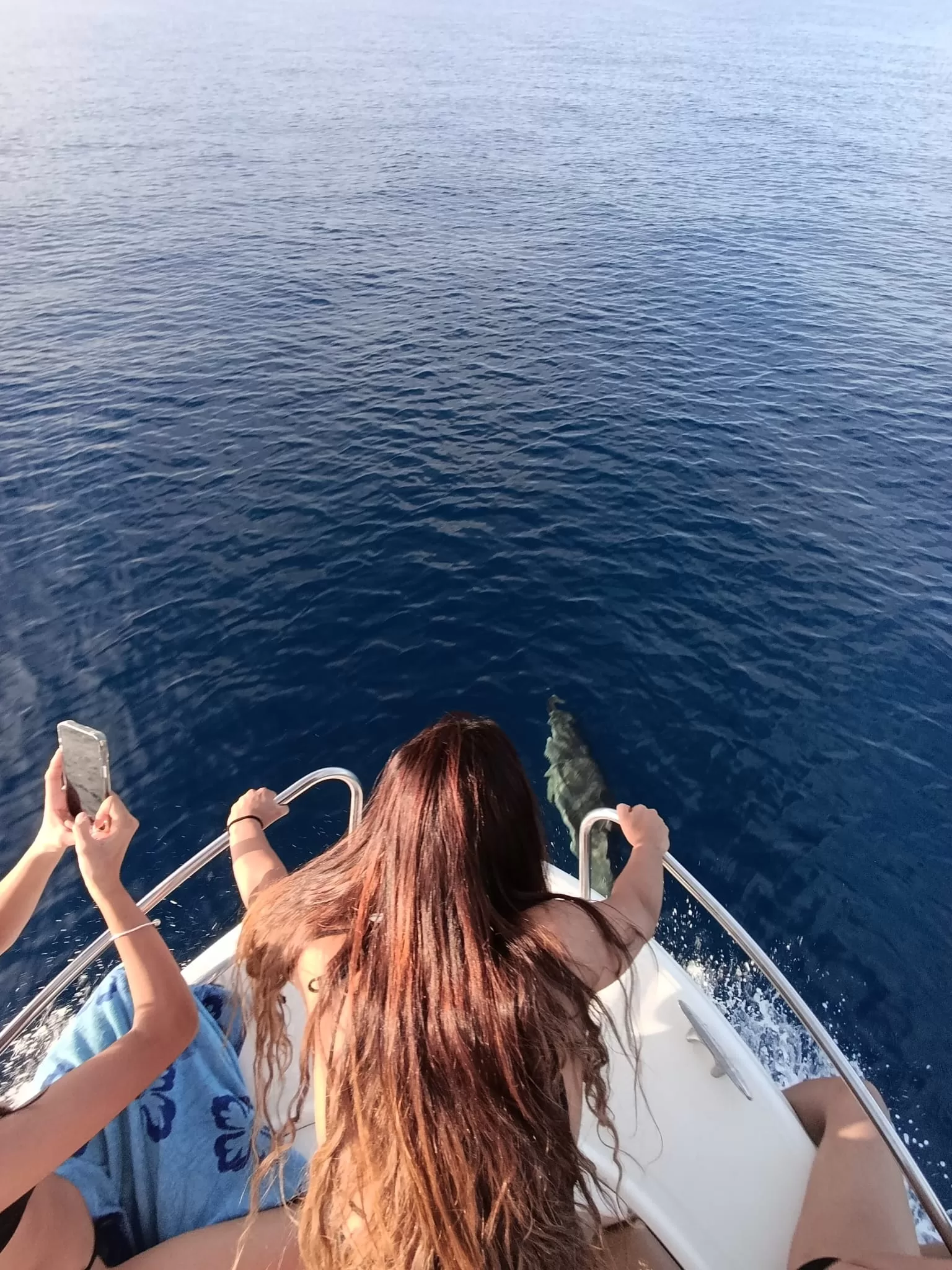 Immagine WhatsApp 2024-07-22 ore 17.00.43_283eef0b