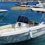 Immagine WhatsApp 2024-07-22 ore 17.24.21_ff4940f7