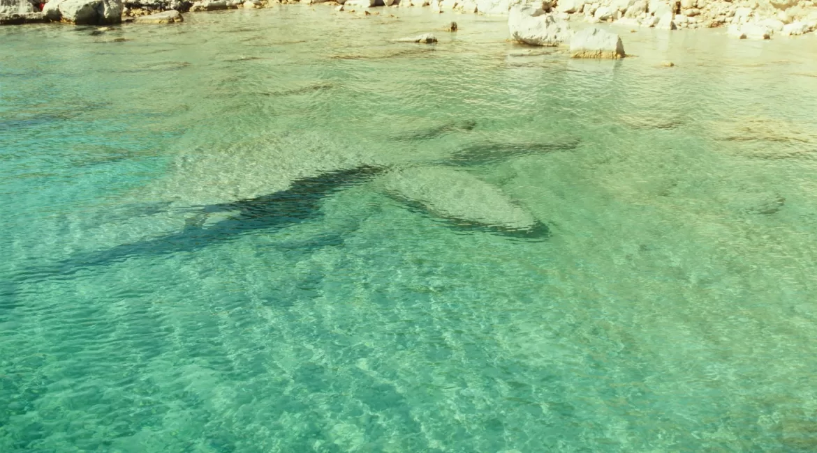 Clear turquoise water over rocks and seabed in a sheltered cove near Taormina, ideal for snorkelling